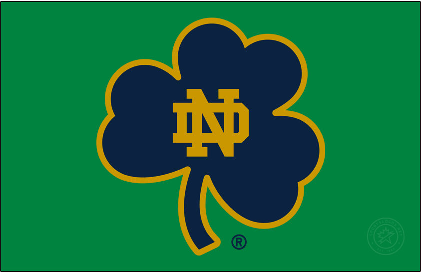 Notre Dame Fighting Irish 2015-Pres Secondary Logo v5 diy iron on heat transfer